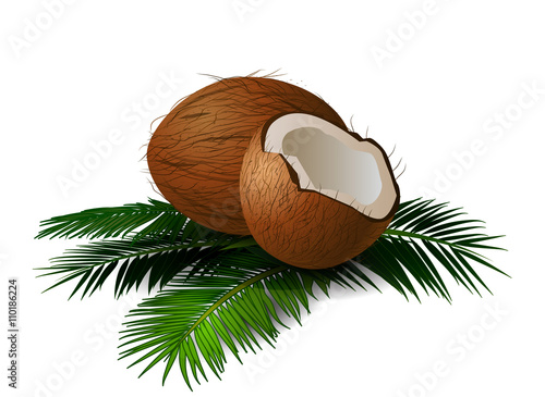 Coconuts with leaves. Vector illustration.
