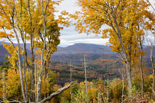 Catskill Mountain Autumn: A scenic view through Autumn trees foliage to the Catskill Mountains beyond