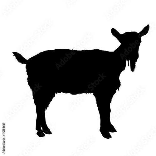 young goat black silhouette 