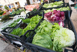 Lettuce, Cabbage, and other vegetables at fresh market