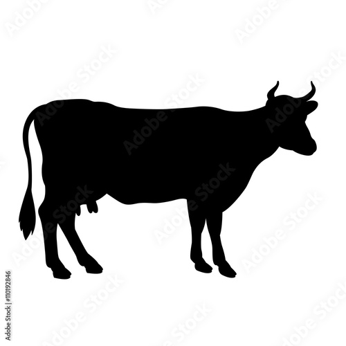 Black cow  silhouette isolated vector illustration