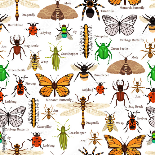 Insects Seamless Pattern © Macrovector