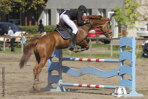 Horse jump a hurdle in a competition
