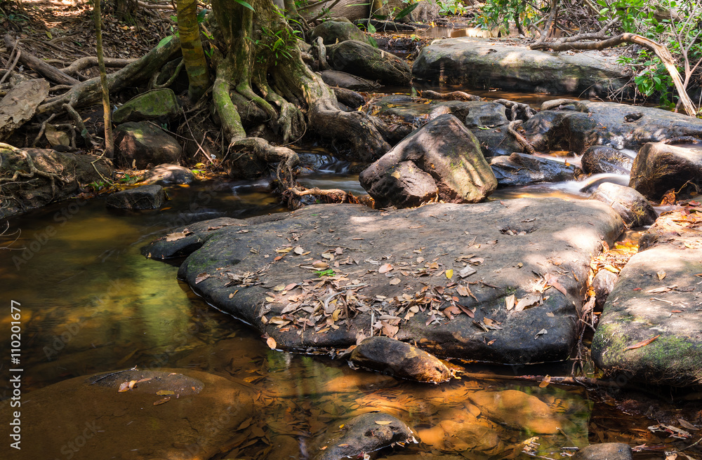 Fototapeta premium Brook at Kbal Spean