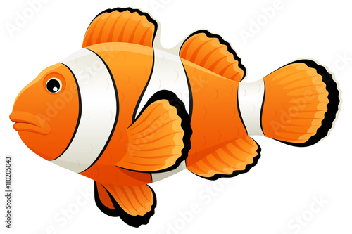 Print op canvas Vector illustration of a clownfish.