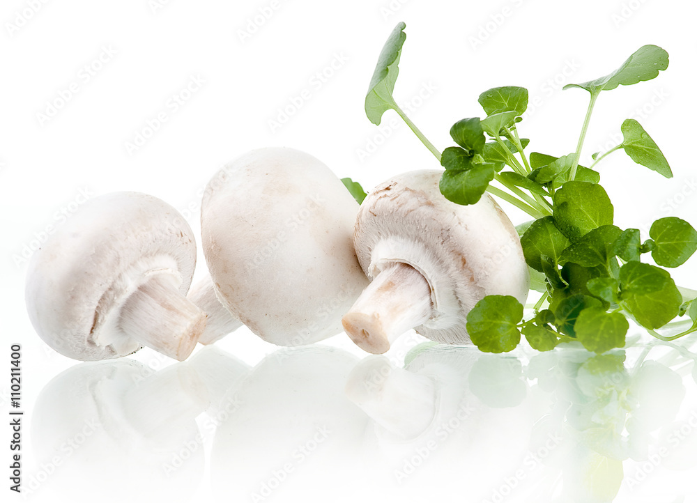 Fototapeta premium Champignon on white background