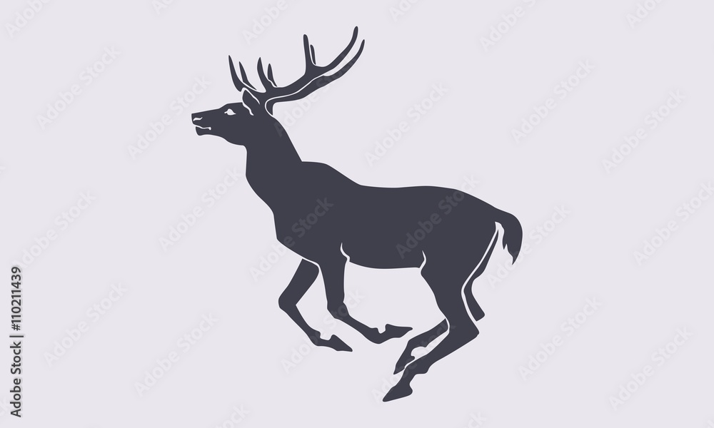 Obraz premium stag gray