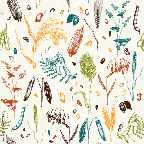 Vector seamless pattern with ink hand drawn agricultural plants sketches. Vintage illustration with legumes, cereal crops, sunflower and flax. Farm fresh and organic plants background.