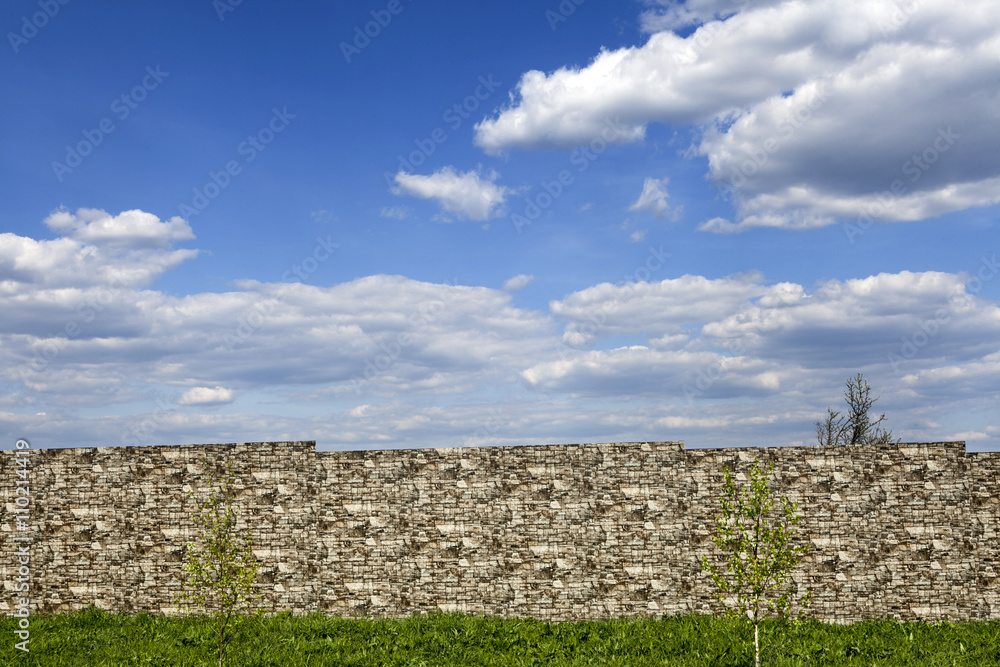 The birch on background of brick wall with cloud sky