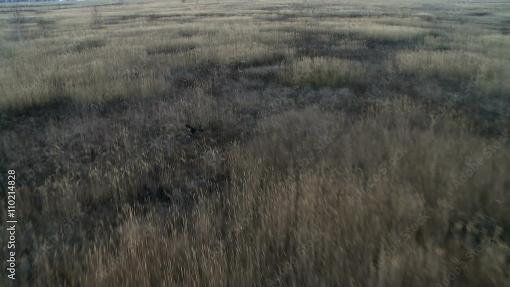 Field landscape aerial shot. Field landscape aerial shot.