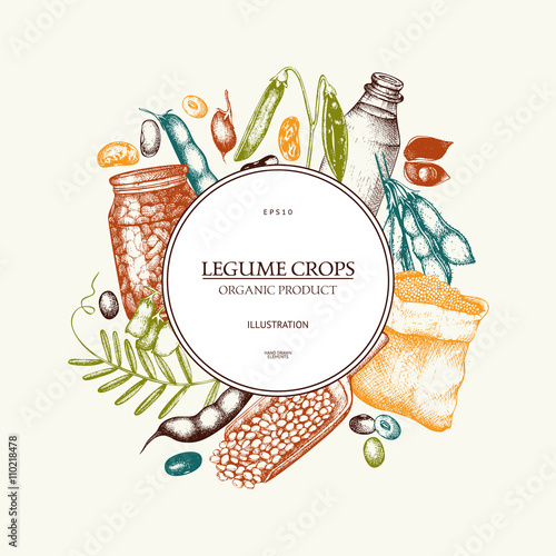 Vector colorful design with ink hand drawn legume crops sketches. Vintage illustration with legumes and legume products. Farm fresh and organic food template.