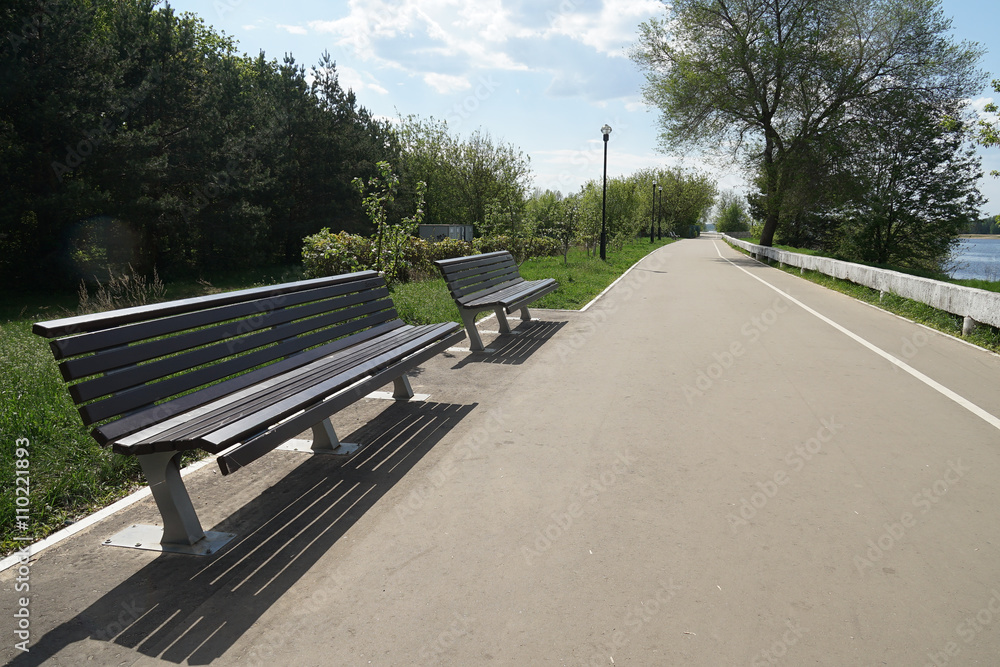 Obraz premium a park