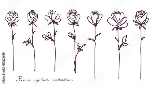 Roses. Collection of isolated rose flower sketch on white background