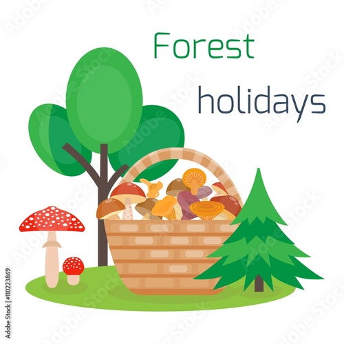 Vector basket of different edible mushrooms. Forest holidays concept. Camping. Forest rest. Picking mushrooms in the basket. Cartoon style