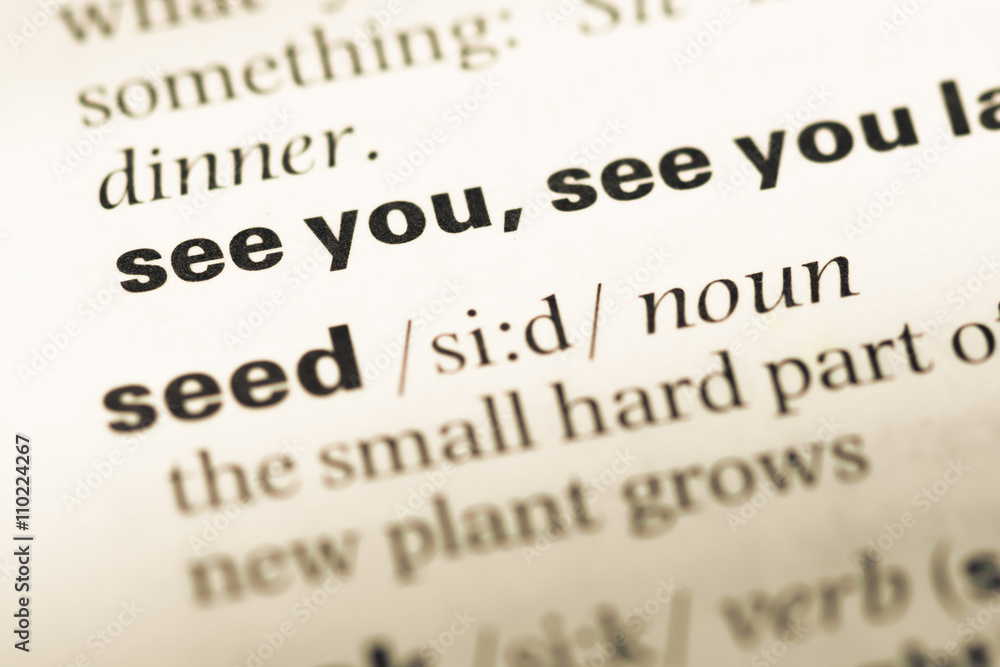 Obraz premium Close up of old English dictionary page with word see you