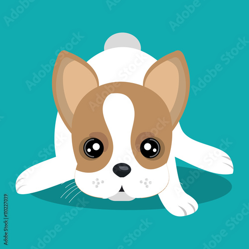 cute dog design 