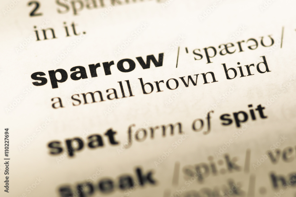 Close up of old English dictionary page with word sparrow Close up of old English dictionary page with word sparrow