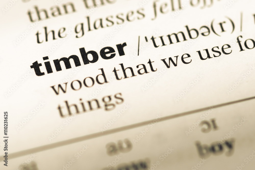 Close up of old English dictionary page with word timber Close up of old English dictionary page with word timber