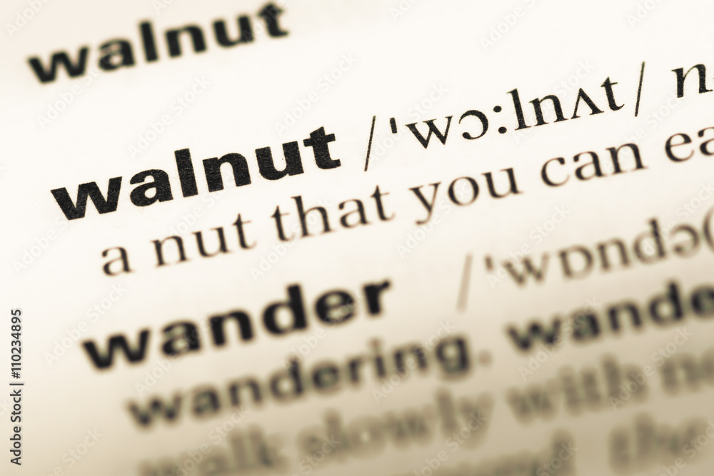 Close up of old English dictionary page with word walnut Close up of old English dictionary page with word walnut