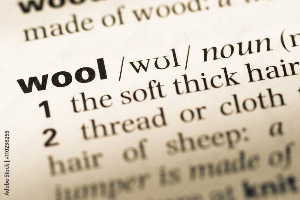 Close up of old English dictionary page with word wool Close up of old English dictionary page with word wool