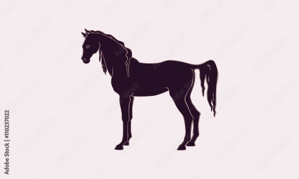 horse cherry horse cherry