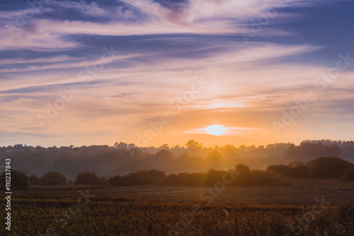 green field and beautiful sunset