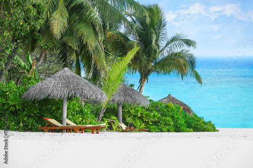 Deck-chairs on the beach under the palm trees. photo