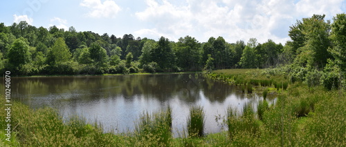 Pond and wetlands in Mississippi photo