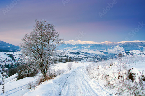 Carpathian mountain valley covered with fresh snow. Majestic lan