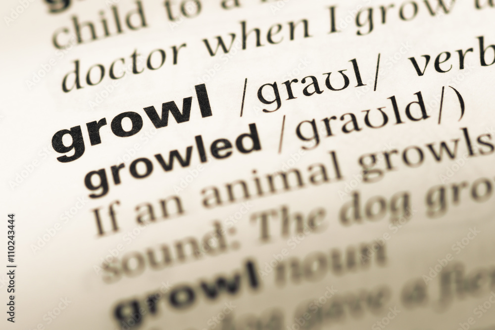 Obraz premium Zamknij się stara strona słownika języka angielskiego z growl słowo