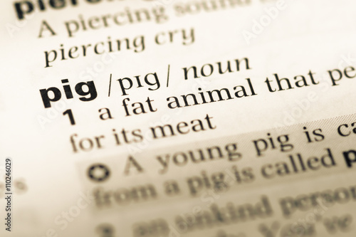 Close up of old English dictionary page with word pig