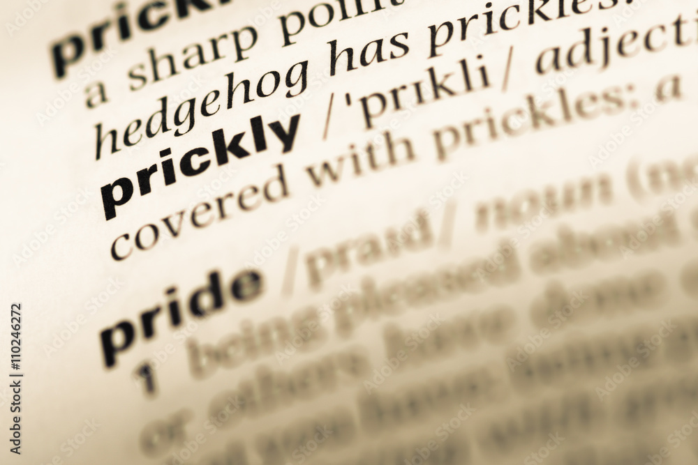 Close up of old English dictionary page with word prickly Close up of old English dictionary page with word prickly