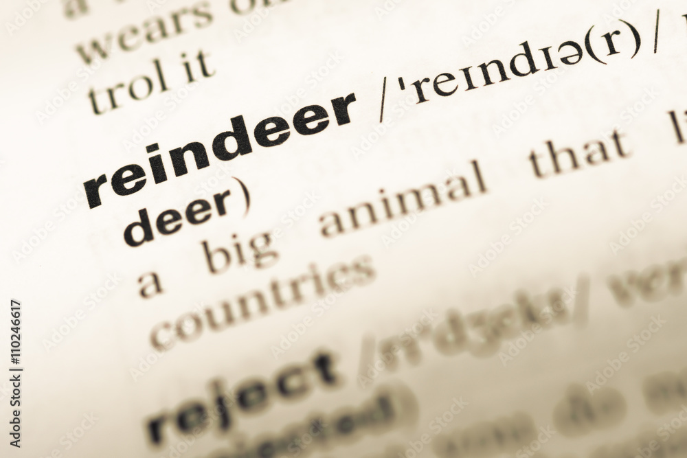 Close up of old English dictionary page with word reindeer Close up of old English dictionary page with word reindeer