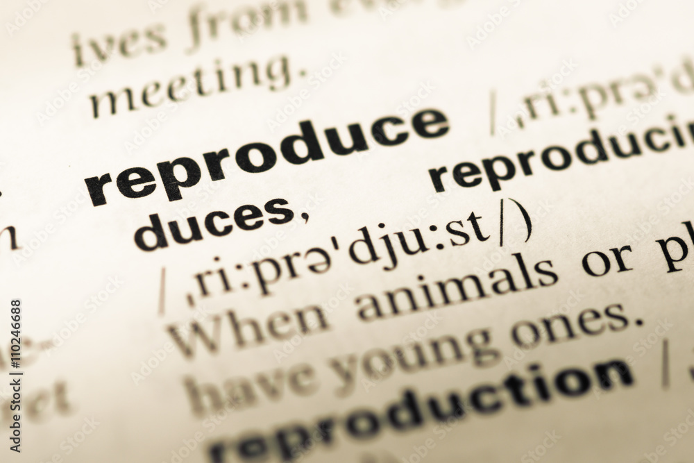 Close up of old English dictionary page with word reproduce Close up of old English dictionary page with word reproduce