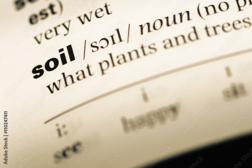Close up of old English dictionary page with word soil Close up of old English dictionary page with word soil
