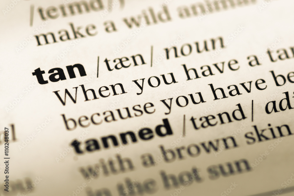 Close up of old English dictionary page with word tan Close up of old English dictionary page with word tan