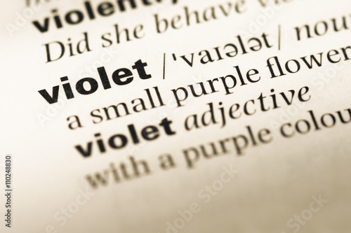Bild auf Leinwand Close up of old English dictionary page with word violet