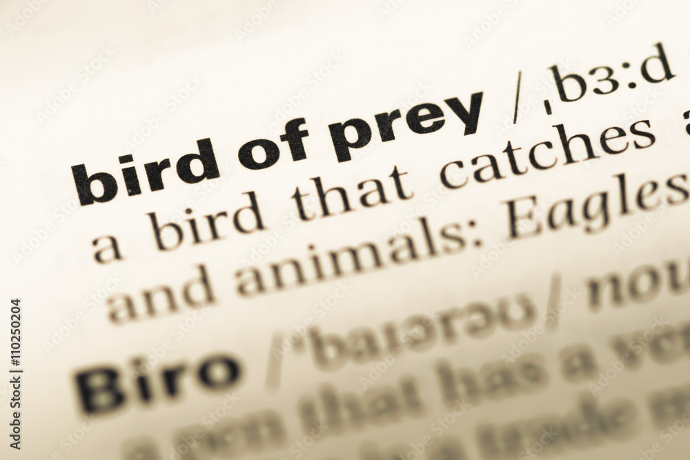 Close up of old English dictionary page with word bird of prey Close up of old English dictionary page with word bird of prey