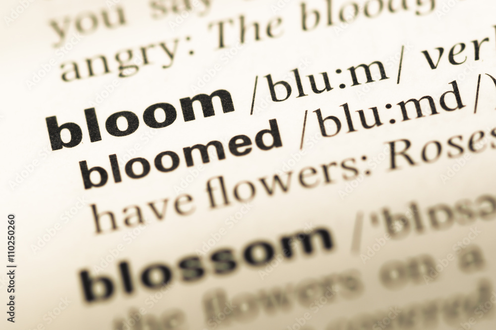 Close up of old English dictionary page with word bloom Close up of old English dictionary page with word bloom