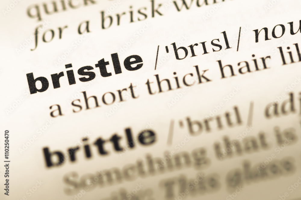 Close up of old English dictionary page with word bristle Close up of old English dictionary page with word bristle