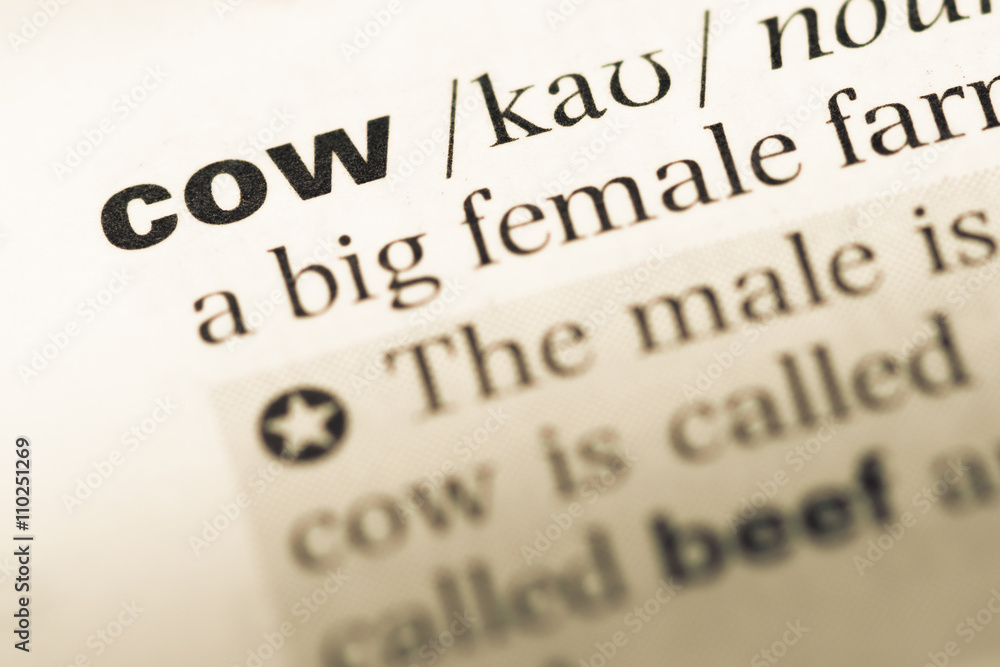 Obraz premium Close up of old English dictionary page with word cow