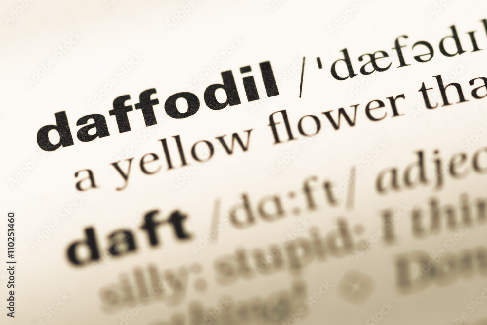 Obraz premium Close up of old English dictionary page with word daffodil