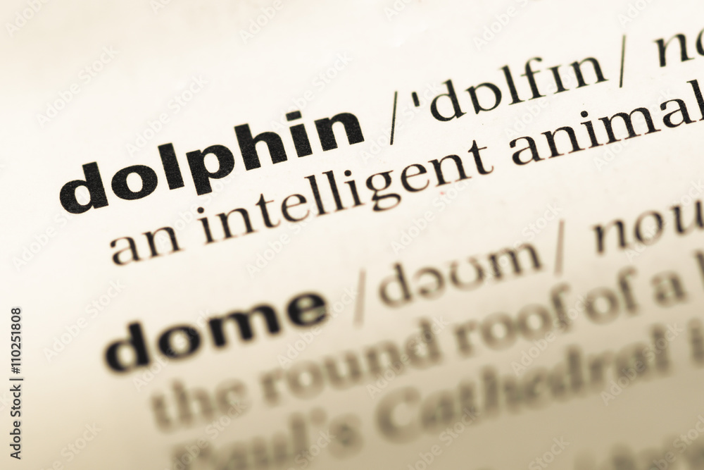 Close up of old English dictionary page with word dolphin Close up of old English dictionary page with word dolphin