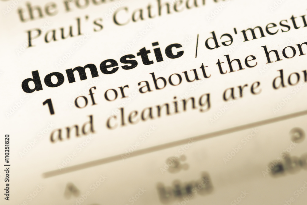 Close up of old English dictionary page with word domestic Close up of old English dictionary page with word domestic