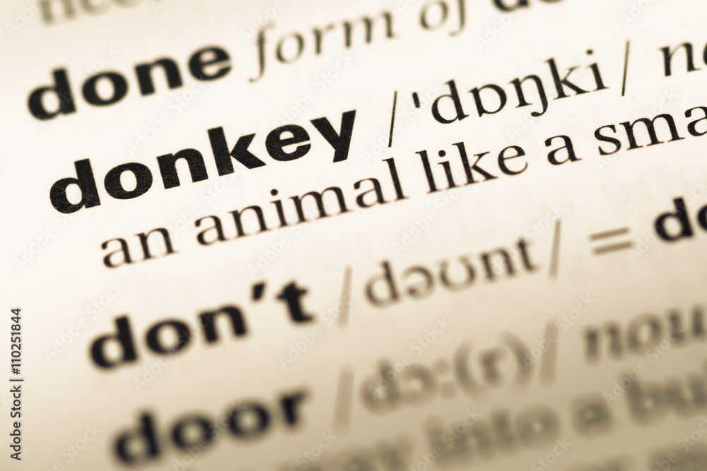 Close up of old English dictionary page with word donkey Close up of old English dictionary page with word donkey