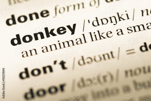 Close up of old English dictionary page with word donkey