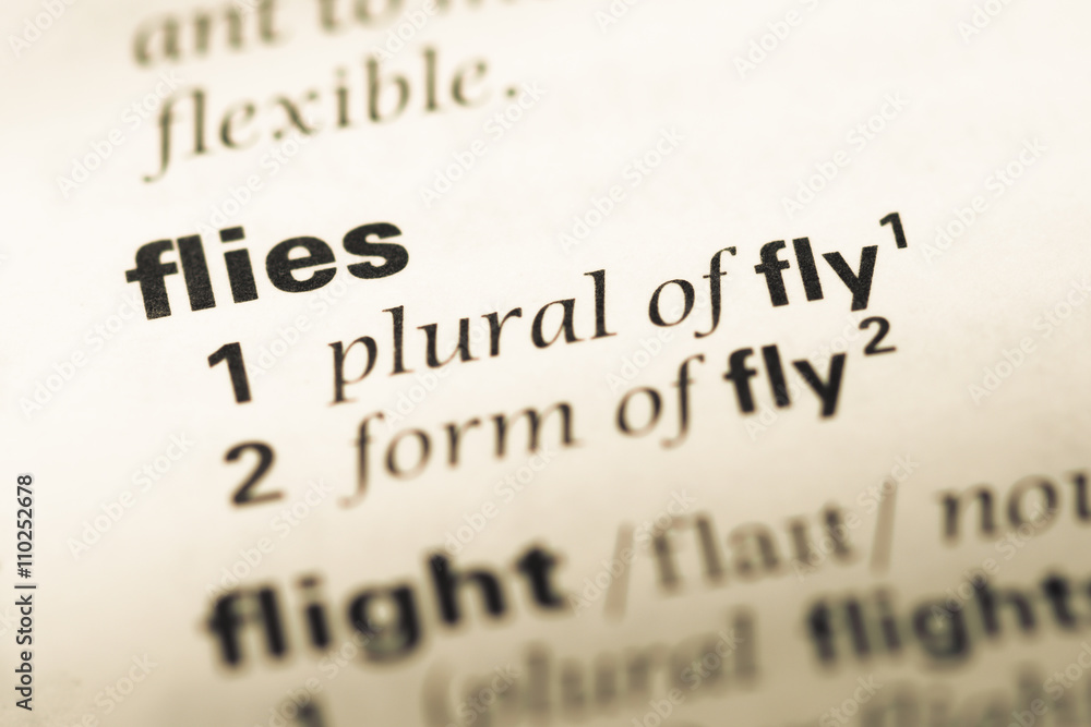 Obraz premium Close up of old English dictionary page with word flies