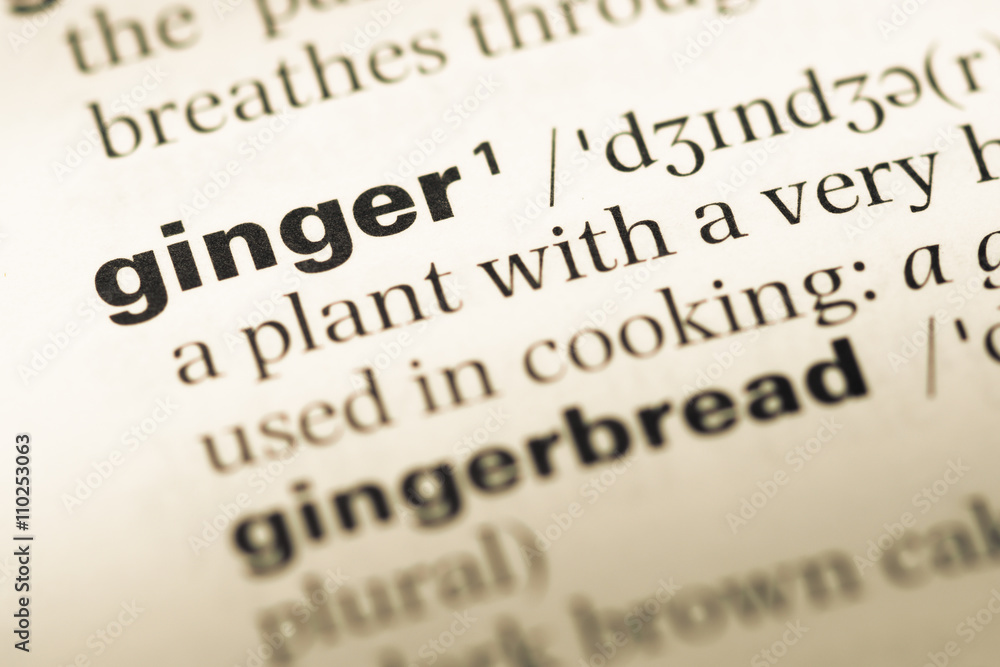 Obraz premium Close up of old English dictionary page with word ginger