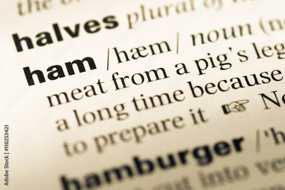 Obraz premium Close up of old English dictionary page with word ham