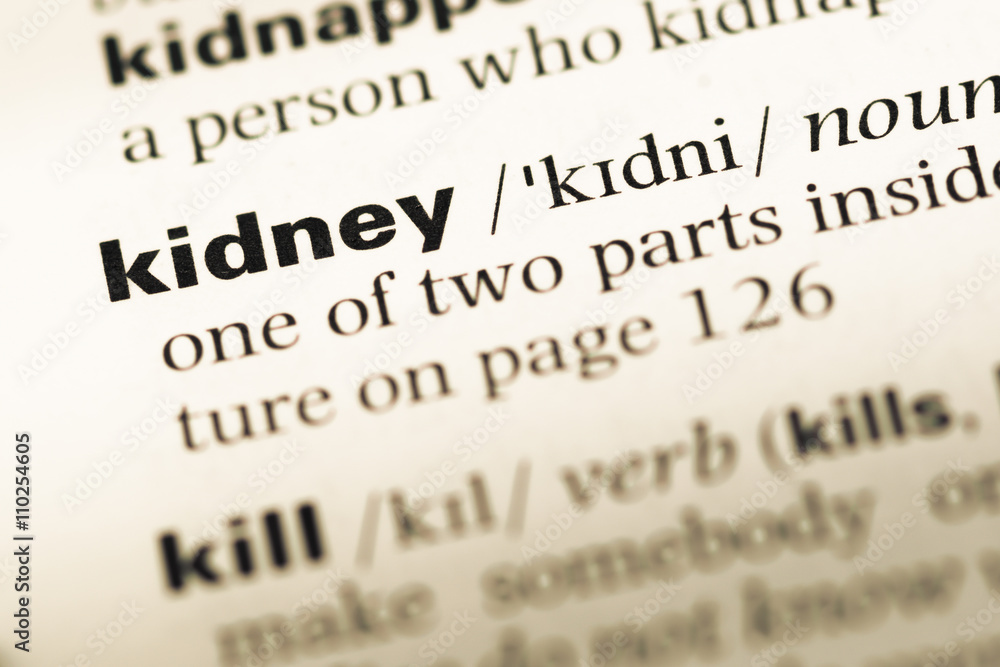 Close up of old English dictionary page with word kidney Close up of old English dictionary page with word kidney